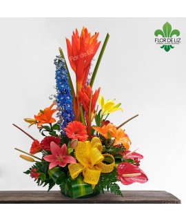 MIL COLORES MIL COLORES